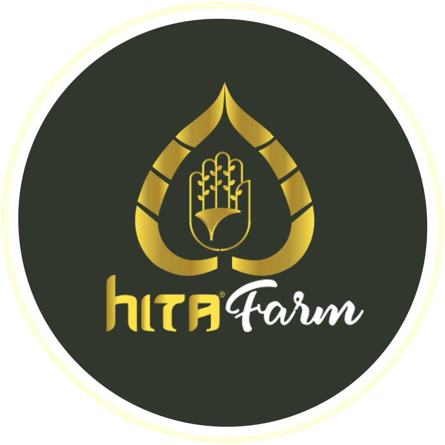 Nhang Thiền Vô Ưu - Ladding page 11