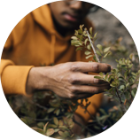 Điểm khác biệt của Nhang Thiền Vô Ưu 3