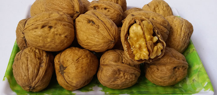 Hướng dẫn cách bảo quản quả óc chó để giữ được chất lượng tốt nhất 7