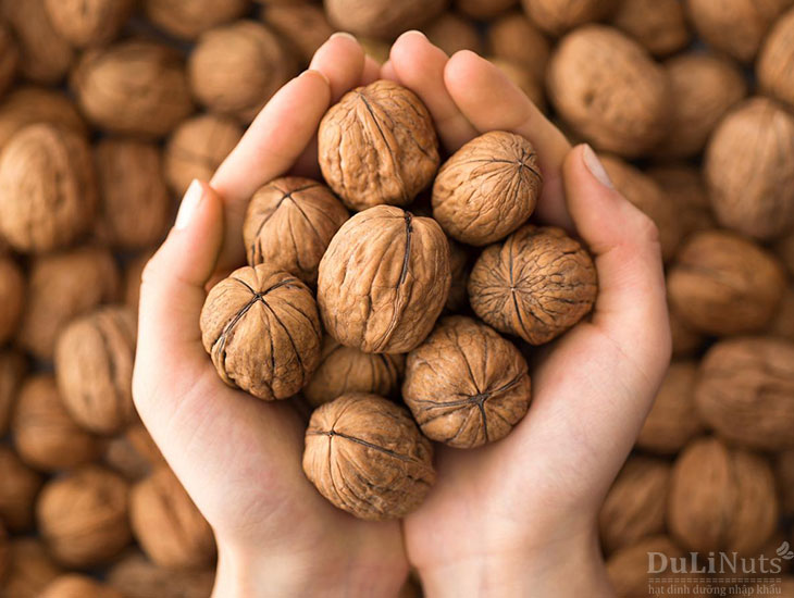 Quả óc chó (Walnuts) 12 Chọn mua quả óc chó nhập khẩu