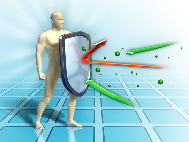 12 tác dụng bất ngờ của hạt dẻ cười đối với sức khỏe 16