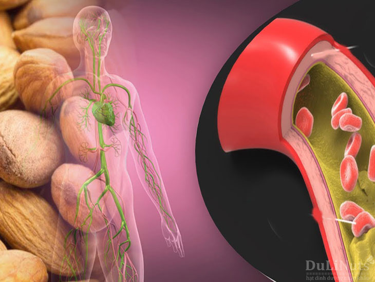 Hạt hạnh nhân giúp kiểm soát Cholesterol