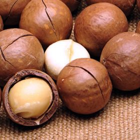 Hạt mắc ca (Macadamia)