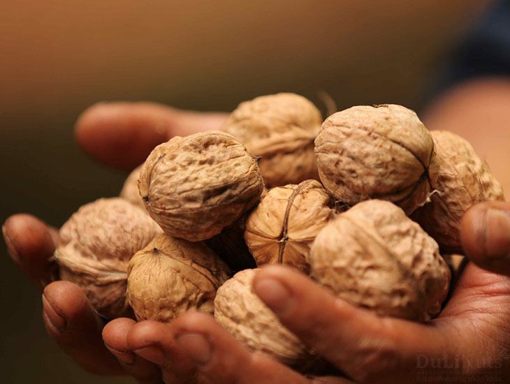 Kinh nghiệm chọn mua quả óc chó