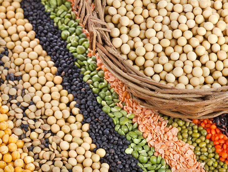 Tác dụng của quả óc chó với bà bầu. Nên ăn bao nhiêu quả óc chó một ngày? 14 Quả óc chó cung cấp protein tốt cho bà bầu