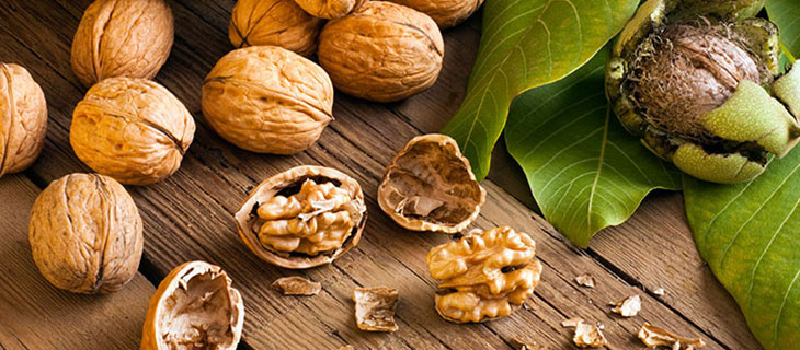 Quả óc chó (Walnuts) 9