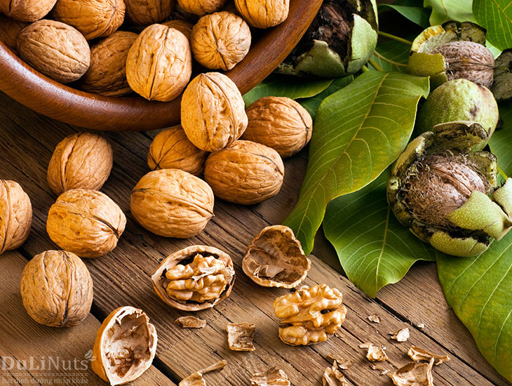 Quả óc chó (Walnuts) 7 Quả óc chó Walnuts