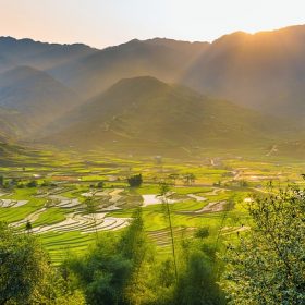 Nhang Thiền Vô Ưu 7