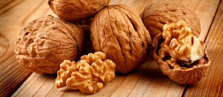 16 tác dụng của quả óc chó đối với sức khỏe có thể bạn chưa biết 8