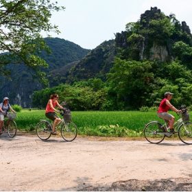 Hòa mình vào thiên nhiên, giải pháp hoàn hảo cho tâm hồn