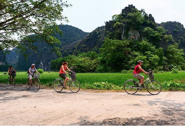 Hòa mình vào thiên nhiên, giải pháp hoàn hảo cho tâm hồn 1