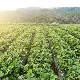 HITA Coffee - Specialty Coffee 37