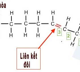Omega 3, omega 6, omega 9 là gì?