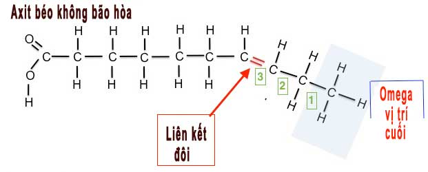 Omega 3, omega 6, omega 9 là gì? 32
