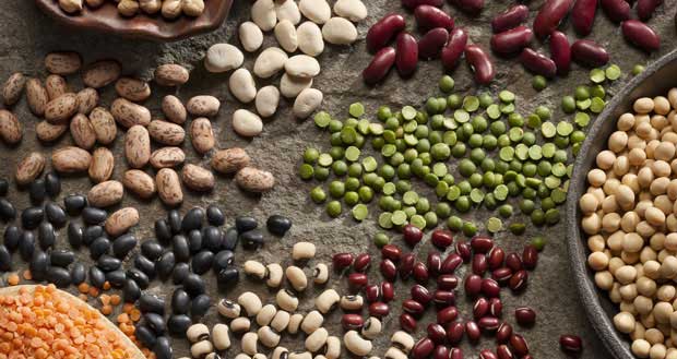 7 Loại Thực Phẩm Có Hàm Lượng Sắt Cao Nhất Từ Trước Tới Nay 16 cac-loai-hat-dau-la-thuc-pham-chua-nhieu-sat-NS