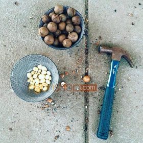 Cách Ăn Hạt Maca Bạn Chưa Từng Thử