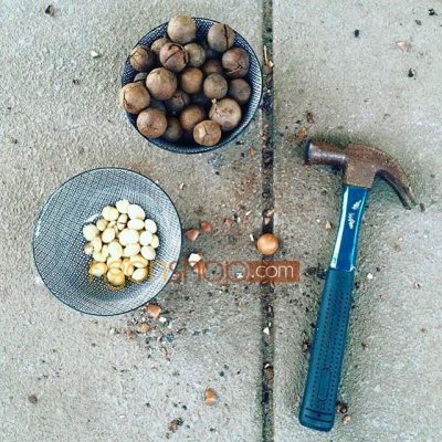 Cách Ăn Hạt Maca Bạn Chưa Từng Thử 2