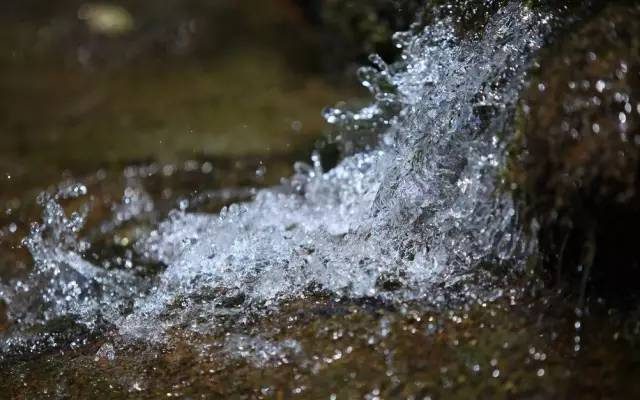 Các loại nước để pha trà bằng ấm tử sa 12