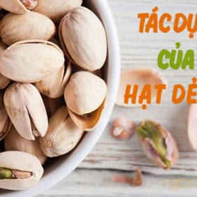 8 Dấu Hiệu Rõ Ràng Chứng Tỏ Bạn Có Đường Huyết Cao 14 10 tác dụng của hạt dẻ cười Mỹ gây ấn tượng mạnh mẽ với giới khoa học
