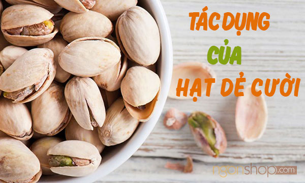 cong-dung-noi-bat-cua-hat-de-cuoi-my