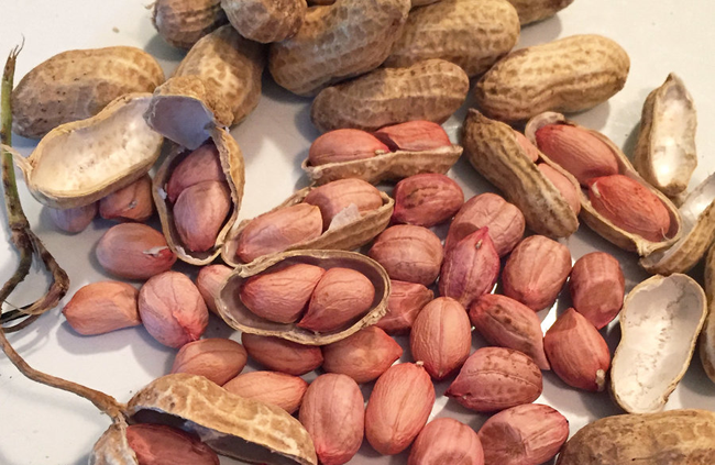 ăn đậu phộng tốt cho tim mạch
