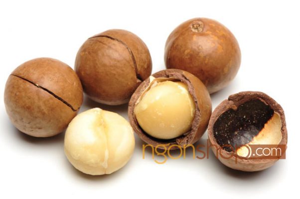 Hạt Mắc Ca Là Gì? 28