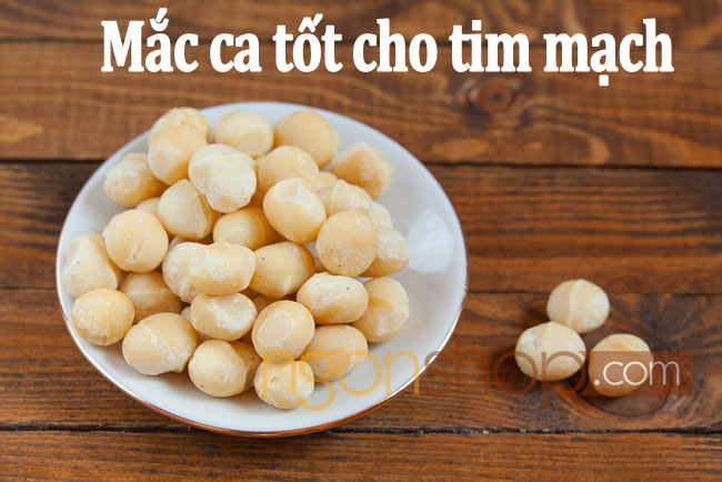 Tác Dụng Của Hạt Macca Với Sức Khỏe Người Dùng 5 Hạt mắc ca tốt cho tim mạch