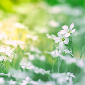 HITA Coffee - Specialty Coffee 36