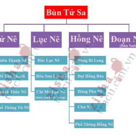 Các loại đất Tử Sa