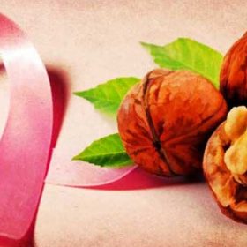Ăn quả óc chó có thể làm giảm nguy cơ ung thư?