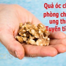 Tác Dụng Quả Óc Chó Trong Phòng Chống Ung Thư Tuyến Tiền Liệt
