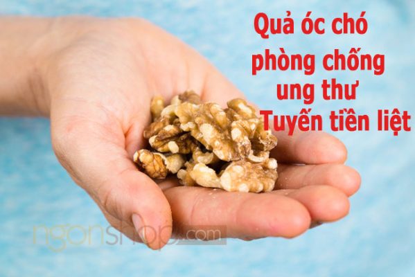 Tác Dụng Quả Óc Chó Trong Phòng Chống Ung Thư Tuyến Tiền Liệt 8