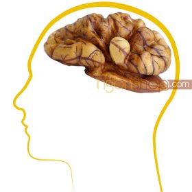 Tại Sao Ăn Quả Óc Chó Giúp Trẻ Thông Minh Hơn