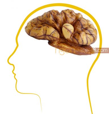 Tại Sao Ăn Quả Óc Chó Giúp Trẻ Thông Minh Hơn 8