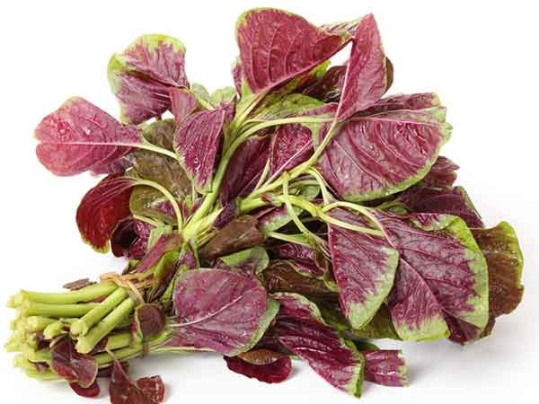 17 Loại Thực Phẩm Giàu Canxi Nhất Thế Gian 26 rau-den-co-nhieu-canxi