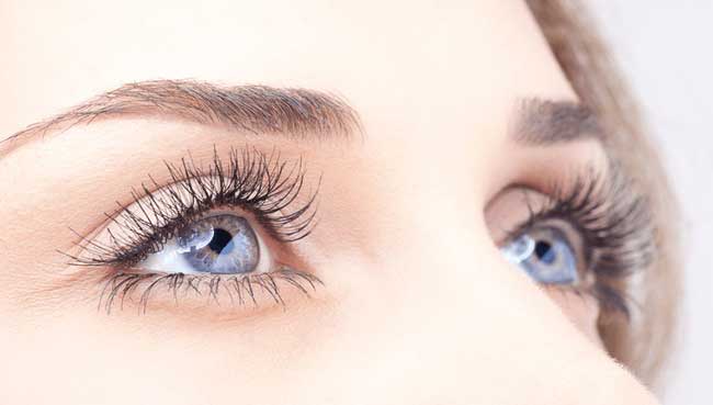 10 loại thực phẩm tốt nhất cho mắt 31