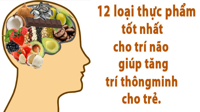 12 Loại Thực Phẩm Tốt Nhất Cho Não Và Trí Nhớ 12 Thực phẩm tốt cho trí não