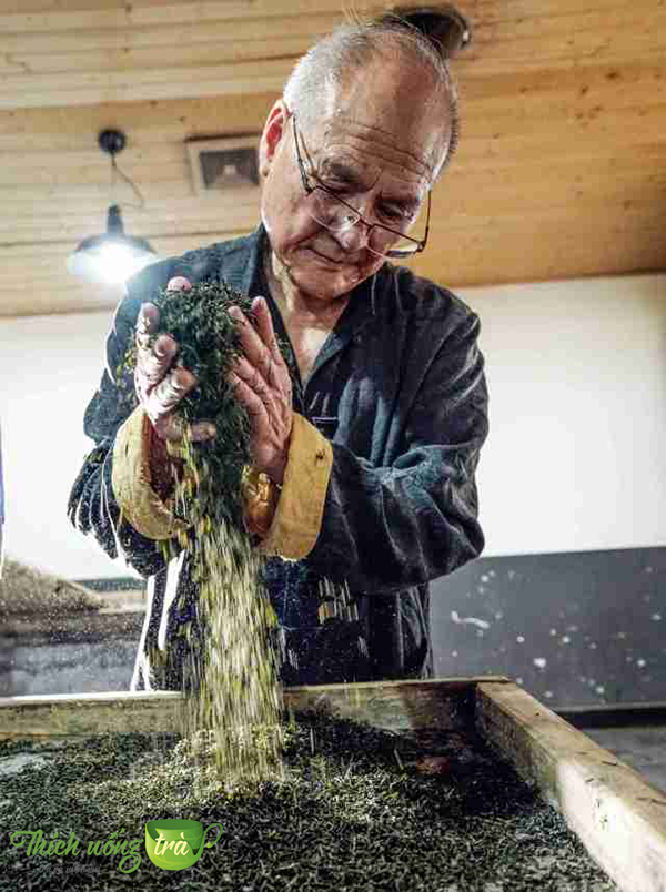 Tổng quan về Trà Ân Thi Ngọc Lộ 21 Trà Âm Thi Ngọc Lộ được áp dụng thủ pháp