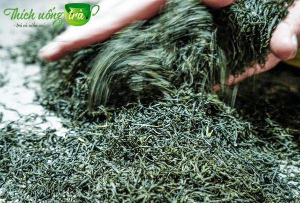 Tổng quan về Trà Ân Thi Ngọc Lộ 22 Trà Âm Thi Ngọc Lộ được áp dụng thủ pháp 2