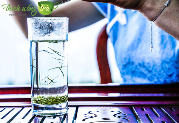 Tổng quan về Trà Ân Thi Ngọc Lộ 24 trà ân thi ngọc lộ tốt cho sức khỏe