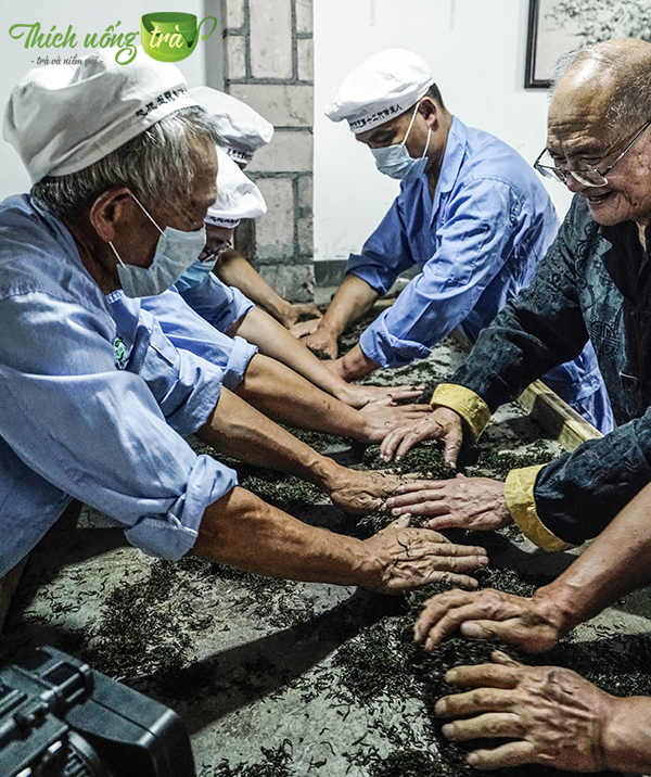 Tổng quan về Trà Ân Thi Ngọc Lộ 20 trà ân thi ngọc lộ được Vò nhàu, vê nhào trà