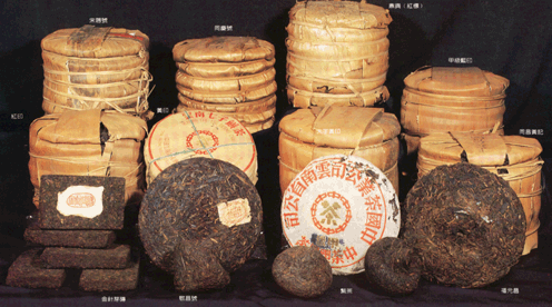 Cách lựa chọn trà phổ nhĩ ngon và không bị nấm mốc 3