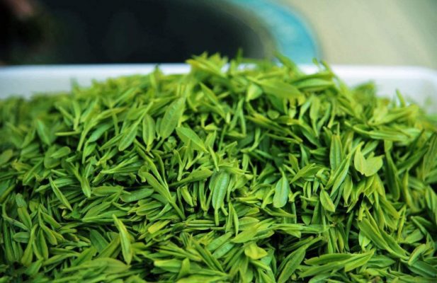 Tổng quan về Trà Xanh 1