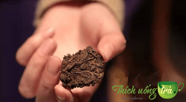 Phổ Nhĩ Lão Trà Đầu 6 viên phổ nhĩ lão trà đầu