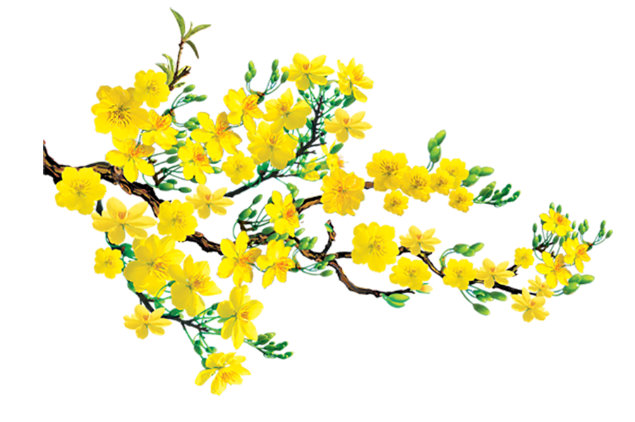 Quà tặng tết 2020 1