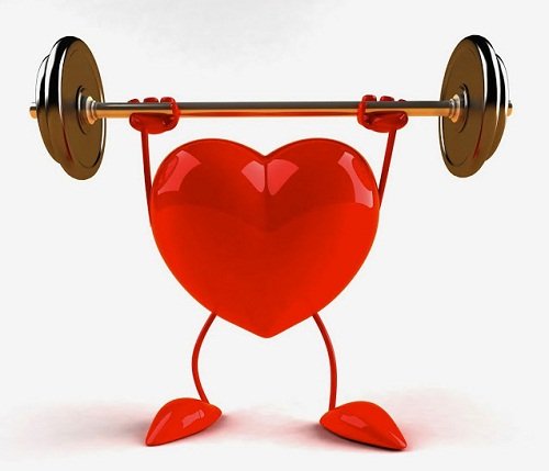 Bạch trà là gì và những công dụng tuyệt vời không phải ai cũng biết 5
