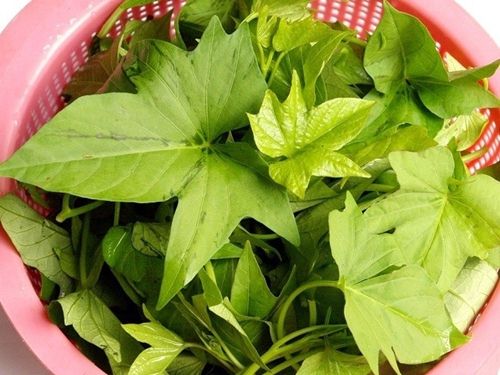 các món rau xào chay