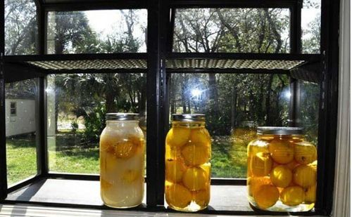 Cách làm chanh muối ngon đúng chuẩn | Cùng HITA tìm hiểu ngay nhé 5 cách làm chanh muối