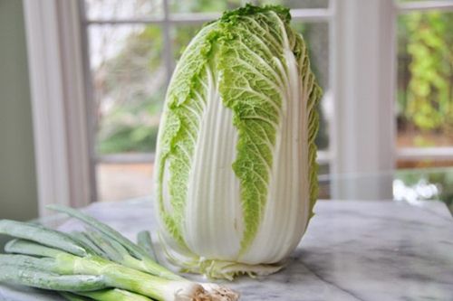 Cách làm kim chi cải thảo chay theo kiểu Hàn Quốc | Vị ngon khó cưỡng 28 cách làm kim chi cải thảo