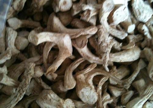 Bật mí các cách làm ruốc nấm chay rất đơn giản và dễ thực hiện tại nhà 10 cách làm ruốc nấm chay